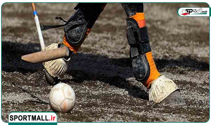 ویژگی های توپ چوگان و راهنمای کامل انتخاب آن در 1404